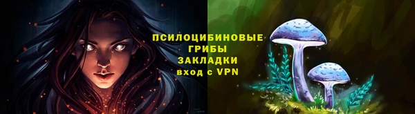 ECSTASY Горняк