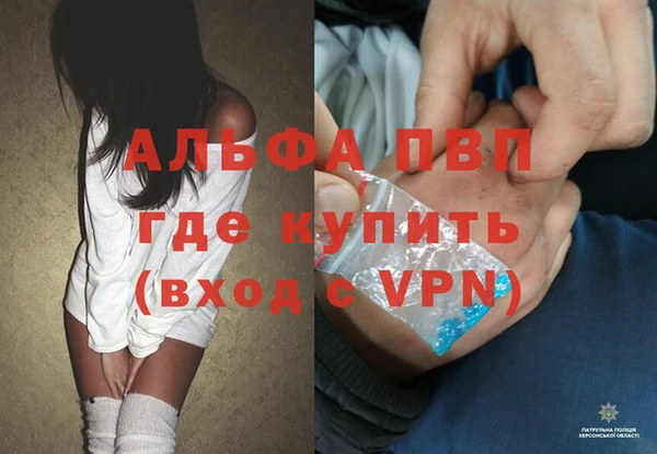 СК Горно-Алтайск