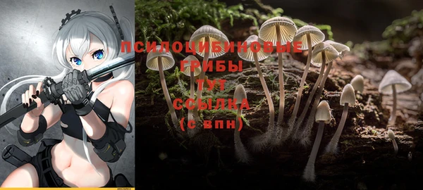 марки nbome Горнозаводск